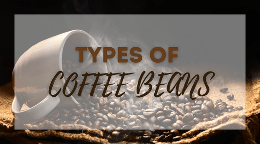 5 Types of Coffee Beans: A Flavor Tour
